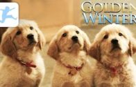 Golden-Winter-Wir-suchen-ein-Zuhause-ganzer-Kinderfilm-deutsch-Tierfilm-Hundefilm-fr-Kinder-1